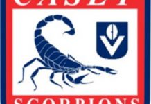 Scorps welcome Plapp back as full-time coach