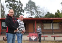 Termites Battin down the hatches