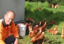 Home on the free range