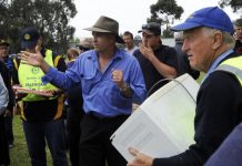 Birthday boost saves elephant sale