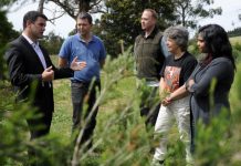 New ways to cut fire risks