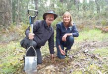 Council care for rare plant