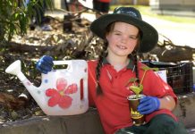 Giant punkins comin’