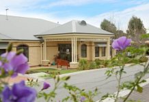 Last chance for Saffron