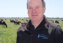 Passion for profitability