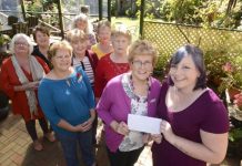 Lionesses’ claws out for diabetes