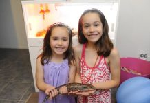 Scales of attraction