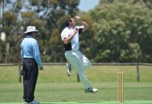 Cricket’s surreal moment