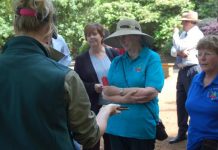 Tracking a guided tour