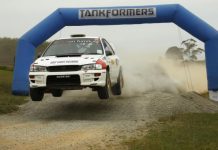 Forest action aplenty