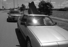 Steered in the right direction