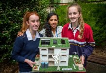 ‘Green’ house creations