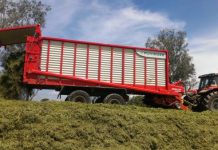 Customers at the gates