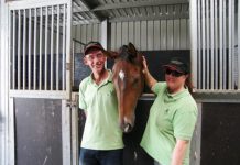 Agistment spells high care