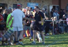 Dean handballs Crows to Gowans