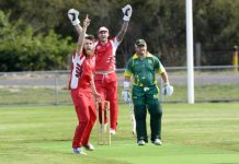 They love the night lights