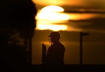 Demons keep Gulls on edge