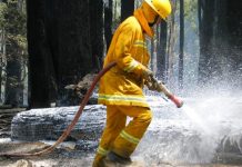 Eyes out for firebugs