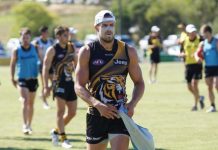 Tigers descend on town