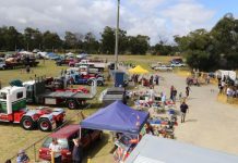 Driven for rev-heads