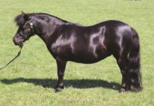 Just a little feature