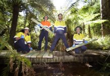 Green Army marches on