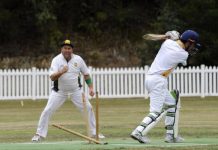 Beware low-flying Seagulls