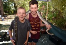 Record crowds at festival