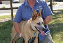 Demo dog Duke’s deaf