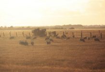 Take stress out of heat