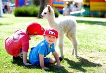 Up close and personal at the Pakenham Show