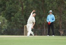 Not all Black for Swans