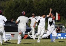 Bright lights for Demons