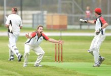 Tail spin downs Seagulls
