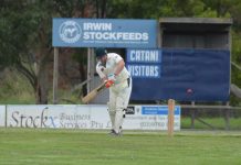Seagulls get ready to soar