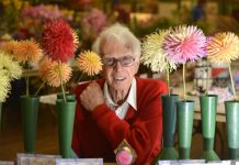 Show’s core status quo