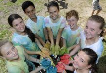 The true colours of diversity