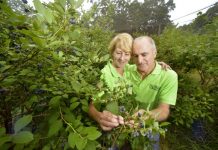 Think local, consider global