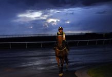 Racing well on track