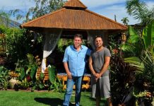 Taste of the tropics