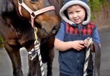 Kids love pony Sarah