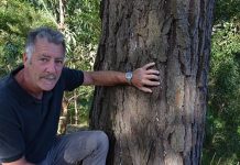 Deadly bug may break through