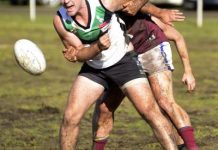 Doves go to dizzy heights