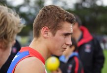 Bushrangers flick the Power switch