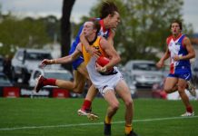 Stingrays flounder in almighty current