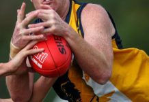 Clipping Doves wings