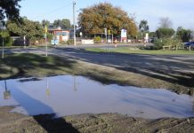 Passing the buck as danger lurks