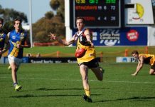 ‘Rays set the standard for Vic Country