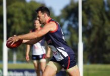 No sting in the tail