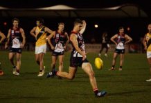 Casey cage the Tigers